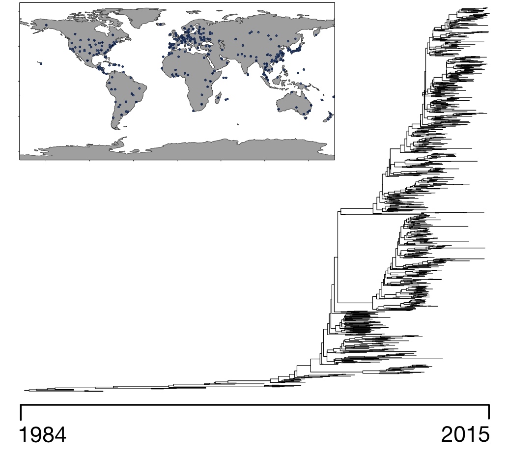 Time-calibrated phylogeny of a Influenza B clade that spread around the world during the years 1987-2014 (sampling locations are shown in the map). We estimated that the rate of geographic dispersal of this clade increased substantially during that time period.